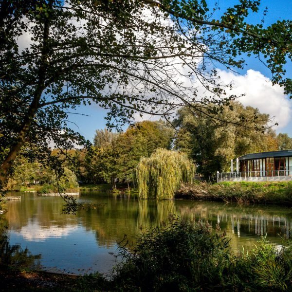 Daemen Vastgoedregie